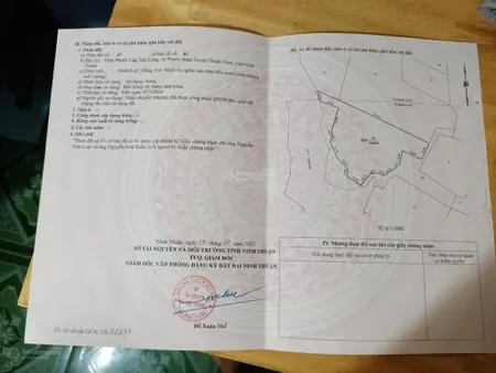 Cần bán đất nông nghiệp tiềm năng, diện tích 3 mẫu 3 (hơn 3 hecta) vị trí đắc địa