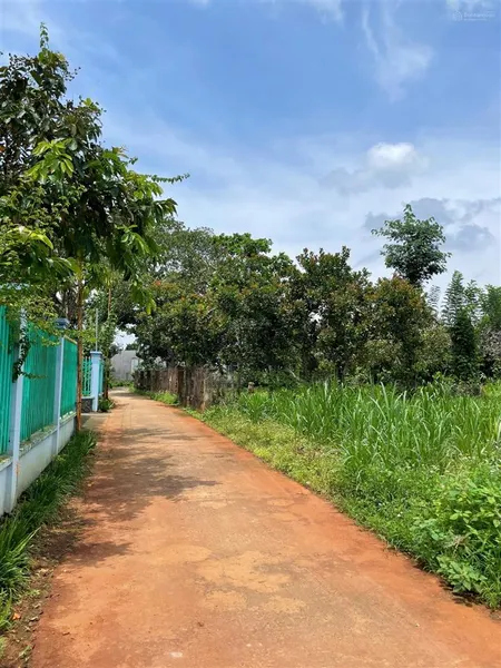 Đất thổ cư sổ riêng view núi chứa chan mặt tiền betong đường bàn cờ đông dân trường học chợ sát bên