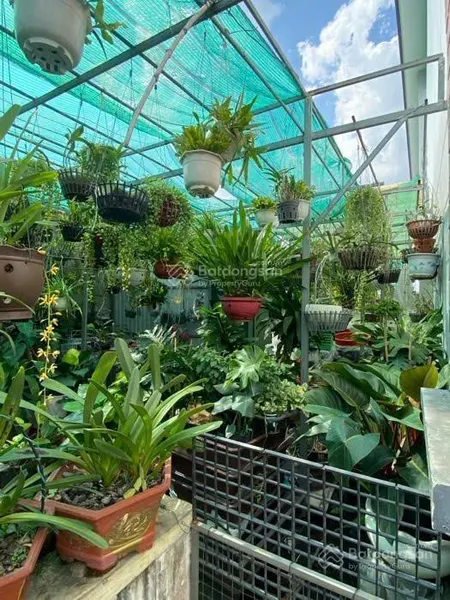 Bán đất 2.500m²(59x60m), full thổ cư, lê trọng tấn, bình hưng hòa, bình tân, tặng nhà 400m2, 170 tỷ