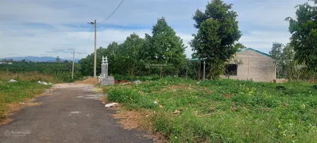 Đất ngộp giá rẻ thôn 1 tân lạc