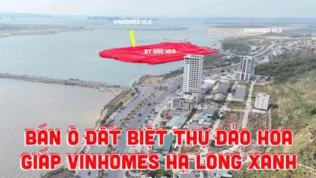 Bán đất biệt thự đảo hoa nối liền dự án vinhomes hạ long xanh. vị trí siêu vip