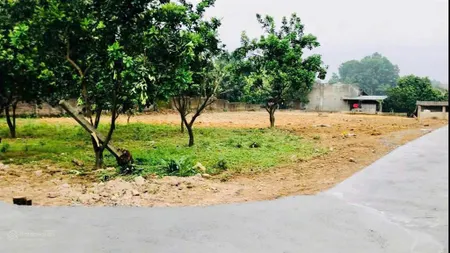Lô góc 2 mặt tiền rộng đầu tư phân lô quá hời, gần trục chính, kdl hồ suối hai, đầm long, cẩm lĩnh
