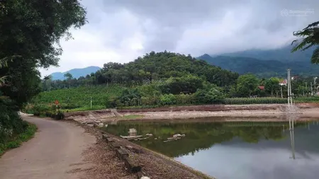 Lô đất nghỉ dưỡng minh quang mặt tiền rộng, view hồ đẹp, sẵn nhà, cách 2 đường tỉnh lộ vài trăm mét