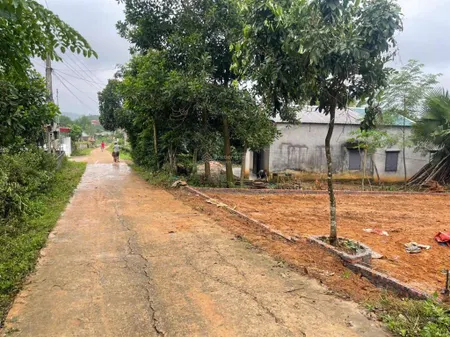Lô đất 10m mt tu vũ thanh thủy phú thọ. bám đồng gần hồ cách đường hcm 300m cầu đồng quang 8km