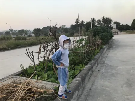Chính chủ cần bán đất phúc thành kim thành hải dương