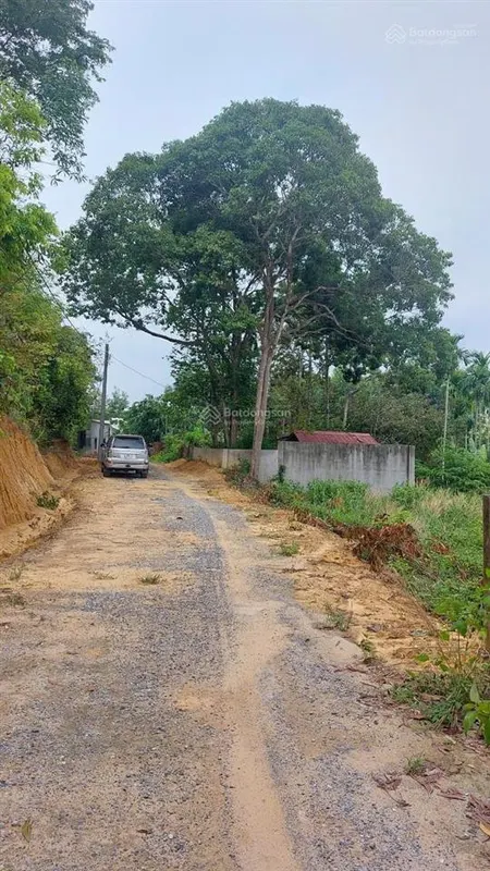 Bán gấp đất 9.000m2 mặt tiền 93,5m đường lý thái tổ nhơn trạch, giá chỉ 2,7 triệu/m2