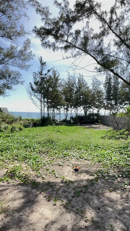 Người nhà cần bán 2.401m2 mặt biển nguyễn cơ thạch mũi né