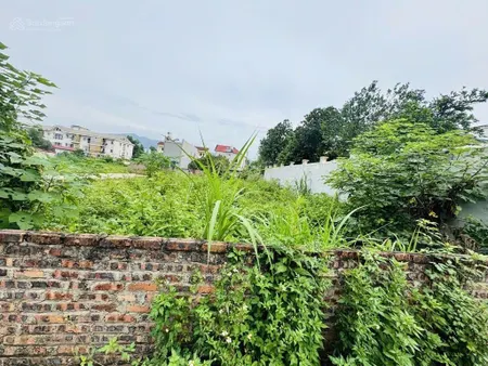 Bán 185m đất ở tại vệ linh, phù linh, sóc sơn