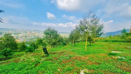 Chỉ 1,5 tỷ cho 1,2 sào đất view sẵn 25m mặt tiền bê tông