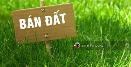 Bán đất mặt tiền đường quốc lộ 50 ngang 7m, dài 45m đã có sổ hồng,thuận tiện kinh doanh mua bán
