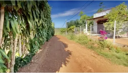 Bán đất 1 hecta ccn bù nho triển khai quý 4.2025 phú riềng đồng nai cách đt 741 khoảng 200m