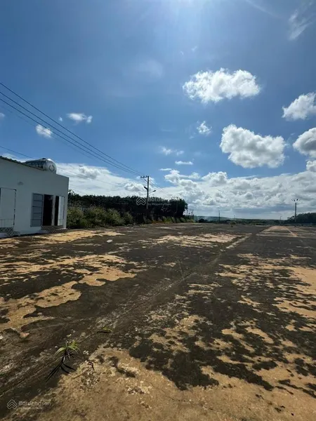 Bán đất dt 40000m2, đt 741, long hưng, phú riềng, 195 tỷ