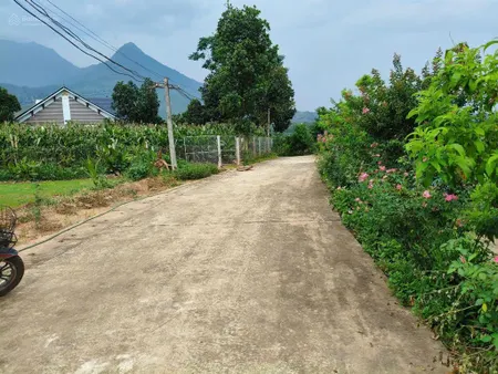 Đất nghỉ dưỡng view núi, cánh đồng bát ngát, gần trường, chợ, bệnh viện, ub xã, cách tl414 chỉ 700m
