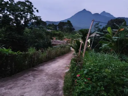 Mảnh đất nghỉ dưỡng view núi thoáng mát tại minh quang, gần chợ, trường học, cách tl415 chỉ 500m
