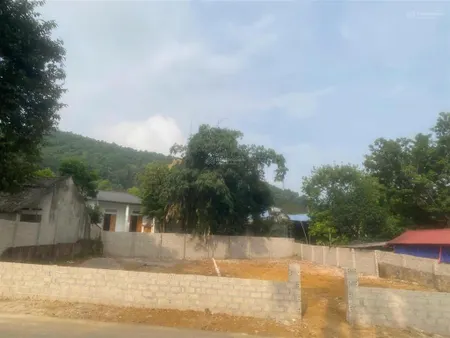 Lô đất tiềm năng mặt đường nhựa trục chính đi ao vua, tản lĩnh, vị trí đẹp, kinh doanh buôn bán tốt