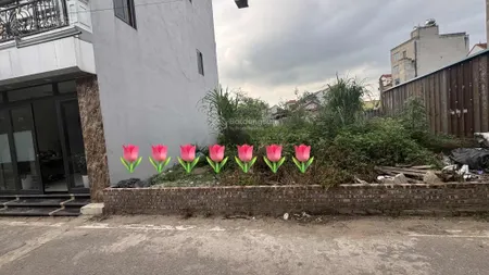 Hiếm 50m2 siêu đẹp, nở hậu tại thôn đầm, vân trì đông anh hà nội 4,5 tỷ