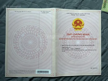 Đấu giá đất dầu tiếng bình dương