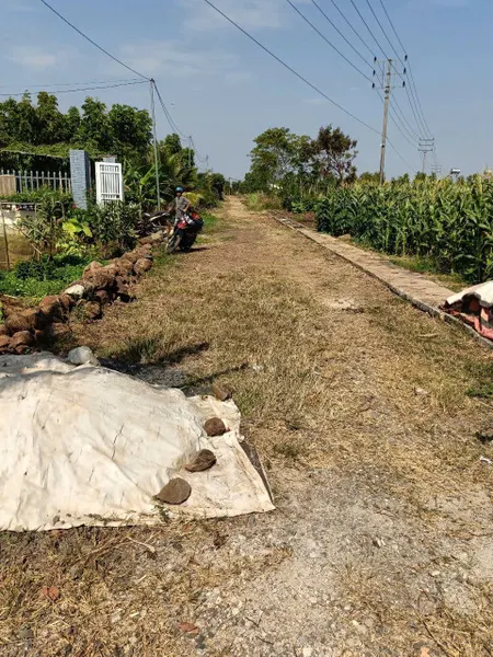 Bán đất 250.4m² ngang 5m giá 675 triệu Xã Hòa Phú