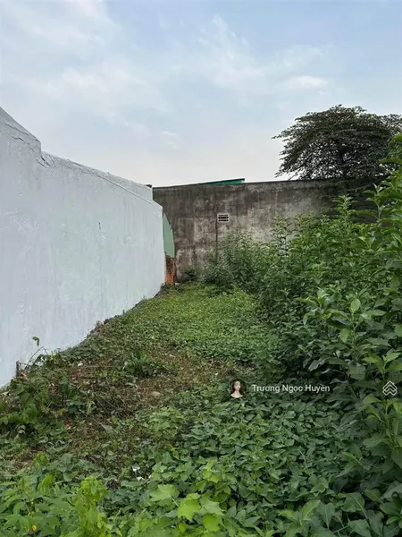 Bán đất mt phạm thị nghĩa, gần go! tân hiệp, biên hoà, đồng nai 120m2 giá 600tr .sổ sẵn.