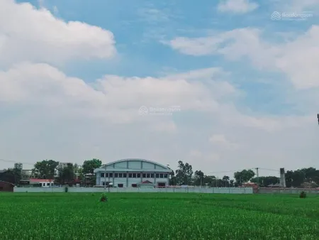 Nhanh tay kẻo lỡ lô đất đẹp 71m xã đông anh mặt tiền 6m giá nhỉnh 5 tỷ