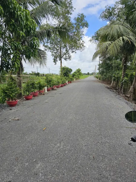 Bán đất  MẶT TIỀN ĐƯỜNG KÊNH 8,  BÌNH CHÁNH