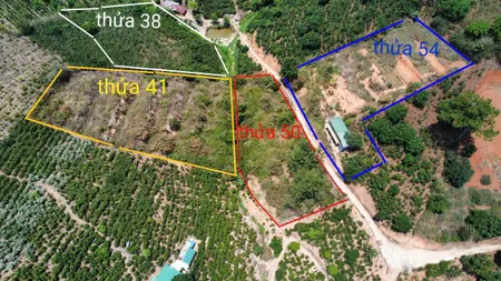 Đất đẹp Xuân Trường - Đà Lạt chỉ 3,8 tỷ view điện gió + rừng thông