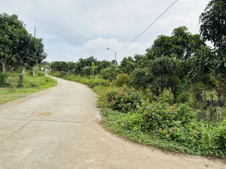 🌳 BÁN ĐẤT VƯỜN VỊ TRÍ ĐẸP – VIEW ĐỒI THƠ MỘNG, GẦN THIỀN VIỆN ĐÔNG GIÁC 🌳