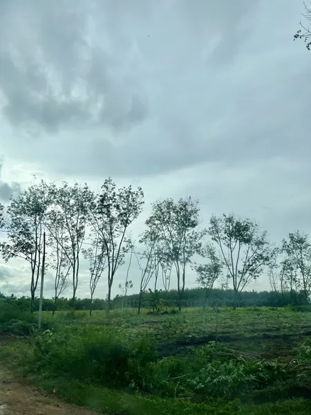 Bán đất 32133m² ngang 45m giá 5 tỷ Xã Tân Phú