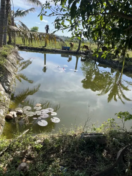 Bán đất Trang Trại-Xã Hàm Liêm-Lâm Đồng--20.500m2,mt 100m