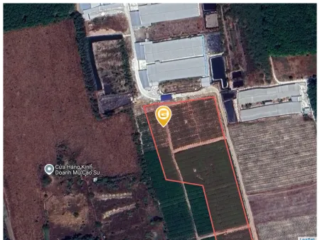 Bán đất 19633m² ngang 5m giá 2.1 tỷ Xã Trừ Văn Thố