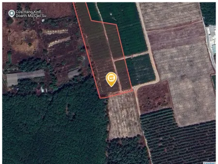 Bán đất 14805m² ngang 5m giá 2.1 tỷ Xã Trừ Văn Thố
