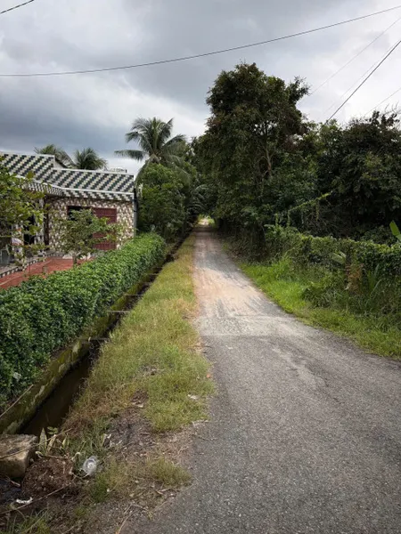 (L794) Đất Đường 729, xã Trung Lập Thượng, dt 9.692m2, giá 7 tỷ 500