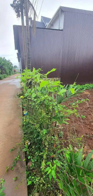 Bán đất 169.6m² giá 1.3 tỷ Phường Tân Lập
