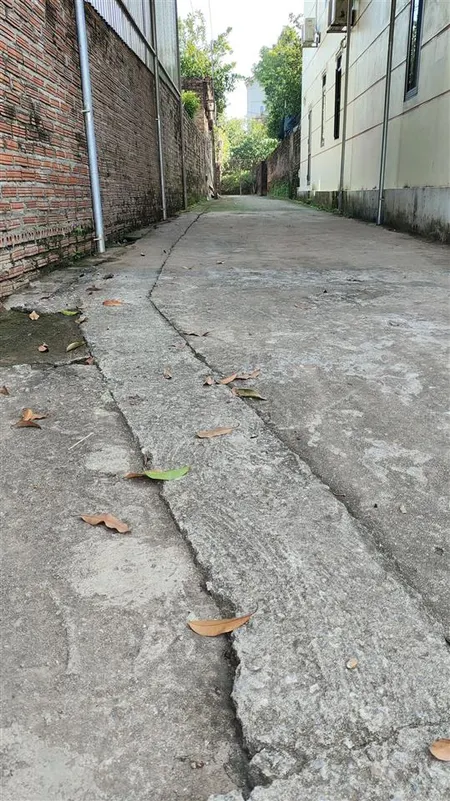 Từ 1tỷ 8 có đất tráng việt cạnh cầu thượng cát và vành đai 4