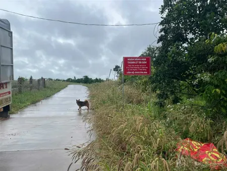 Bán đất tại thôn nam rạ, xã đắk nia, thành phố gia nghĩa, tỉnh đắk nông
