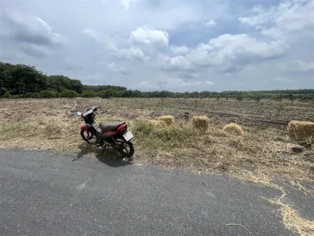 Bán đất bưng riềng, xuyên mộc, bà rịa vũng tàu, 3,1 tỷ, 4100m2 hàng hiếm tại view đẹp