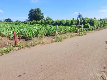 Bán đất tại nghĩa thành, châu đức, bà rịa vũng tàu, 620 triệu, 200 m2 có 80m2 thổ cư