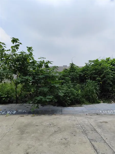 Bán đất phân lô ngay vincom lê thánh tông bên cạnh công viên trung tâm