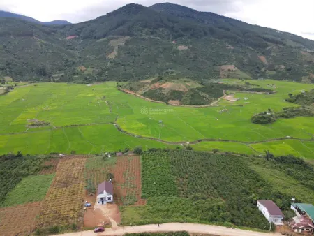 Bán đất view đẹp thích hợp phân lô, mật tiền nhiều