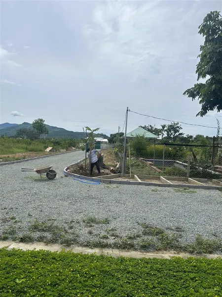 Chính chủ cần bán lô đất 3 mặt đường xã diên lâm