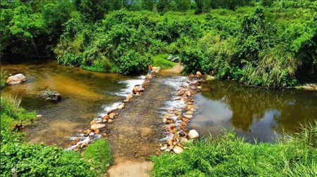 56000 m2 đất sinh thái thôn 3, ninh thượng, gần suối mơ siêu đẹp đầu nguồn bám suối 400m