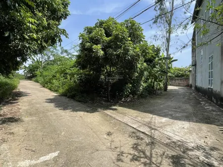 Bán đất 877m² tại khu 8, phượng lâu, việt trì gần đường lớn, thích hợp kho xưởng giá 5 tỷ