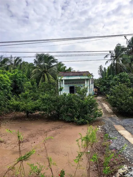 Bán đất chính chủ tại trà vinh