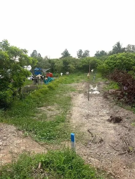 Cần bán đất xã tân an thạnh, bình tân, vĩnh long. 330 triệu /119,2 m2, shr, cách chợ xã hới 800m