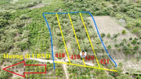 Bán đất 1000m2 tại xã ea dăh, krông năng, đắk lắk, giá 149 triệu vnd