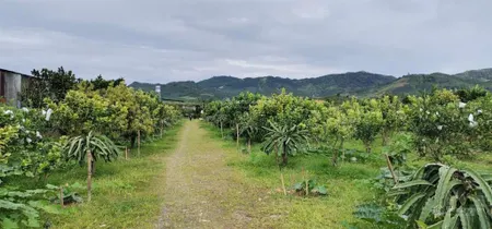 Bán đất đẹp tại đường b'lao xê rê, xã đại lào, bảo lộc, lâm đồng, 14 tỷ, 5500m2