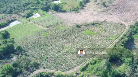 Bán đất tại xã ea sar, ea kar, đắk lắk, 720 triệu, 7067 m2
