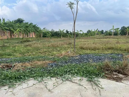 Cần ra lô đất vườn rộng 500m2/ 615 triêu ở tân trung cách quốc lộ 50 khoảng 40m2. sổ hồng riêng