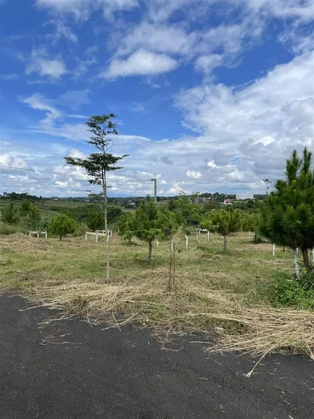 Cần bán đất ngay ngã 5 dambri, dt 305.3m2 có thổ cư sẵn sổ view săn mây cực đẹp giá chỉ 1 tỷ 5