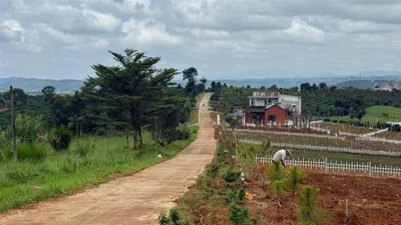 Bán gấp lô đất sát hồ đông thanh, lâm hà 222m2 chỉ 620 triệu, sổ hồng riêng